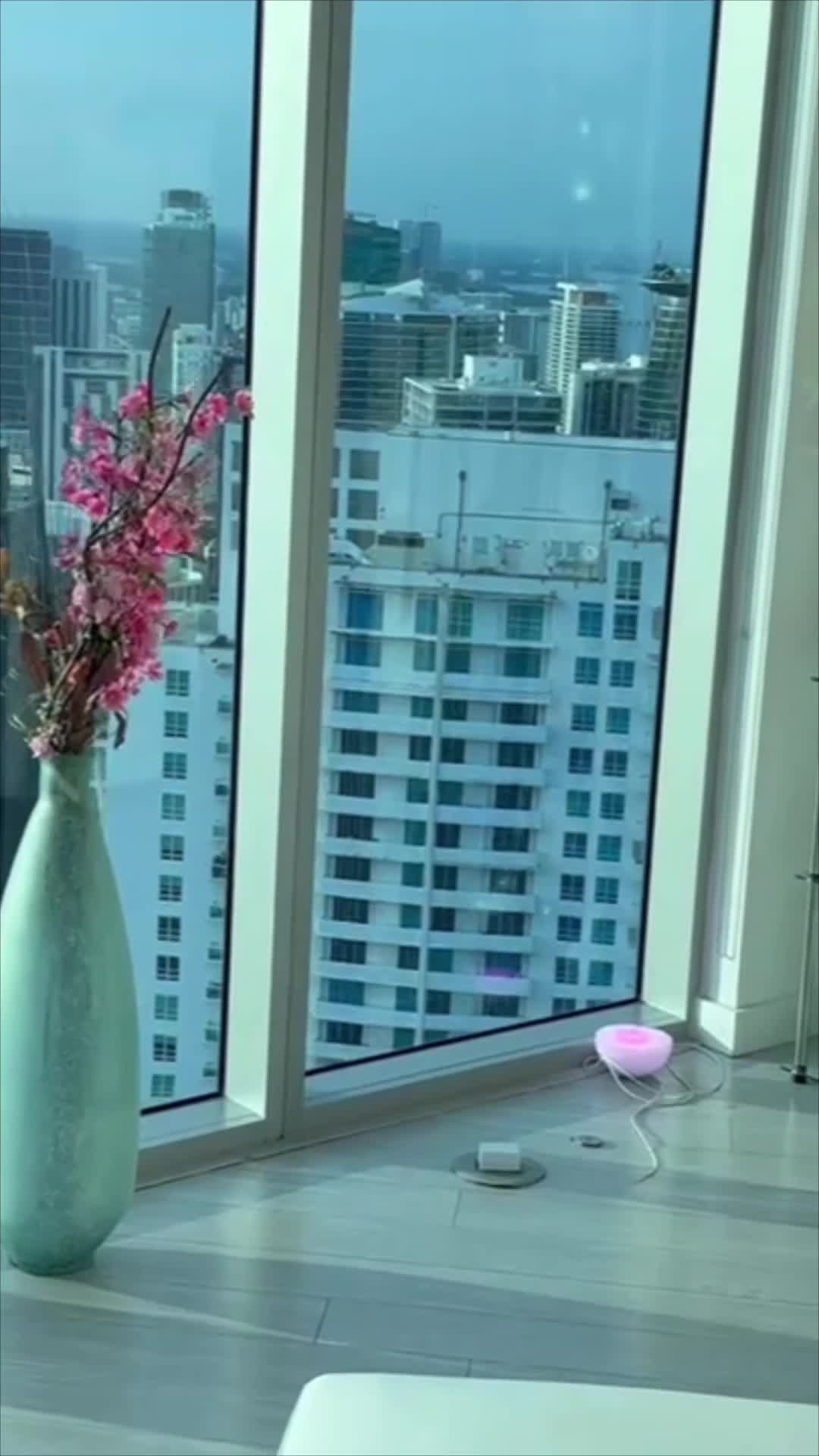 Video 1132278 from Melody Parker