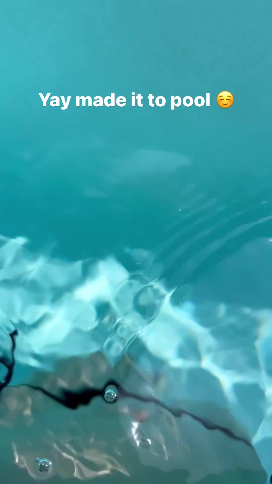 Video 1133310 from NoHaileeNo