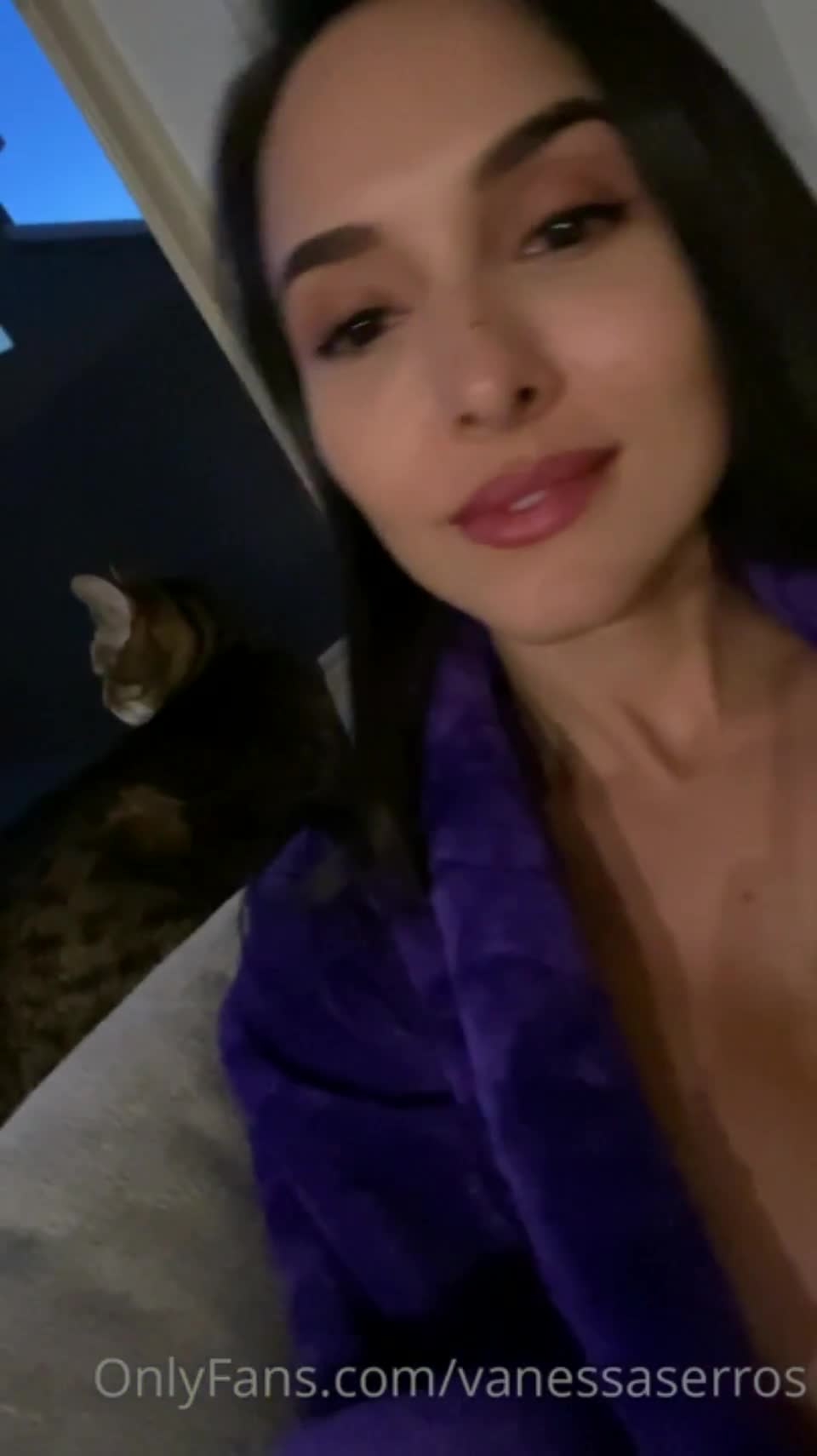 Video 1133373 from Vanessa Serros