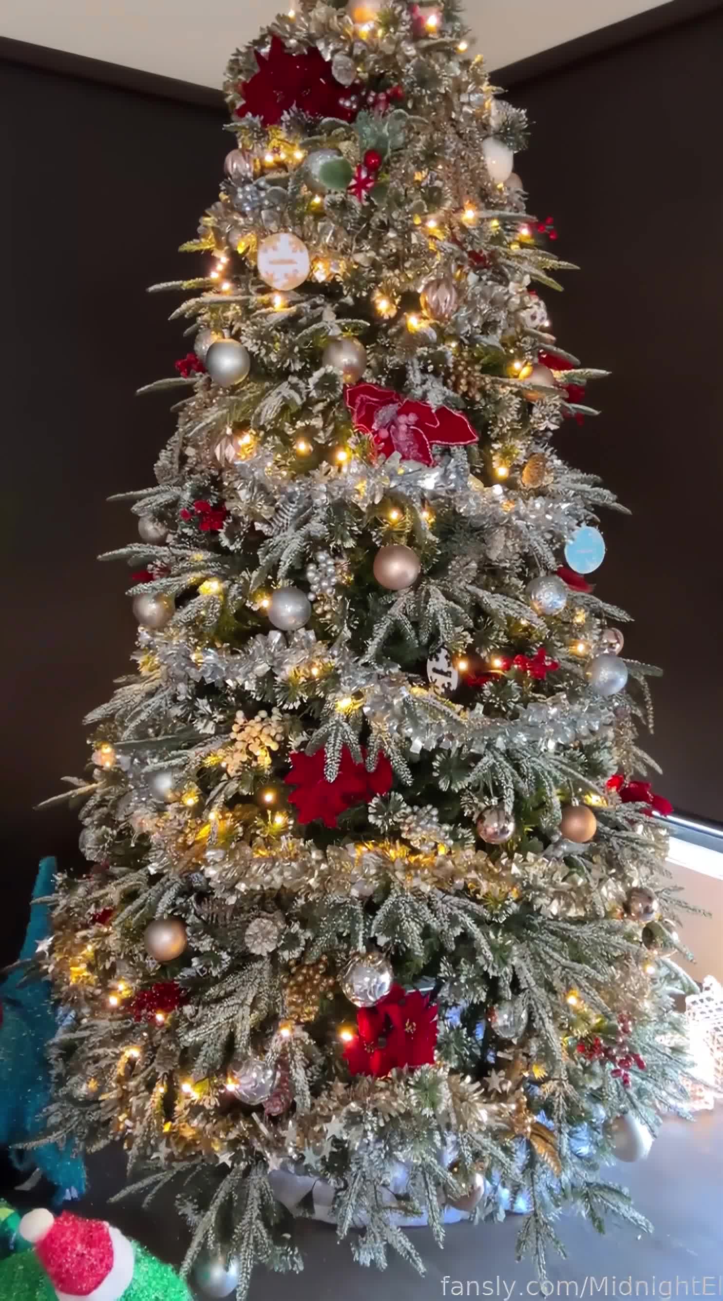 Video 1134112 from Eleanorsaur