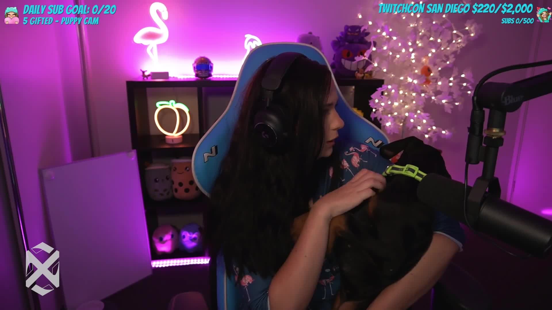 Video 1134140 from Eleanorsaur