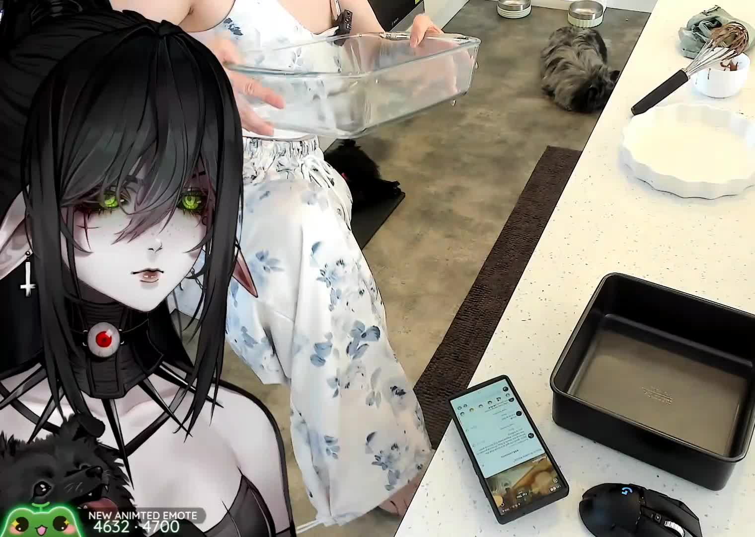 Video 1134442 from Layna lazar