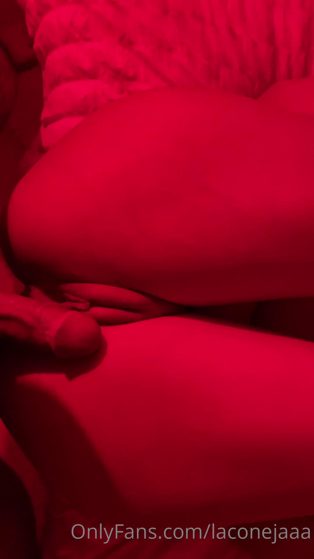 Video 1137549 from Laconejaaa yamillca
