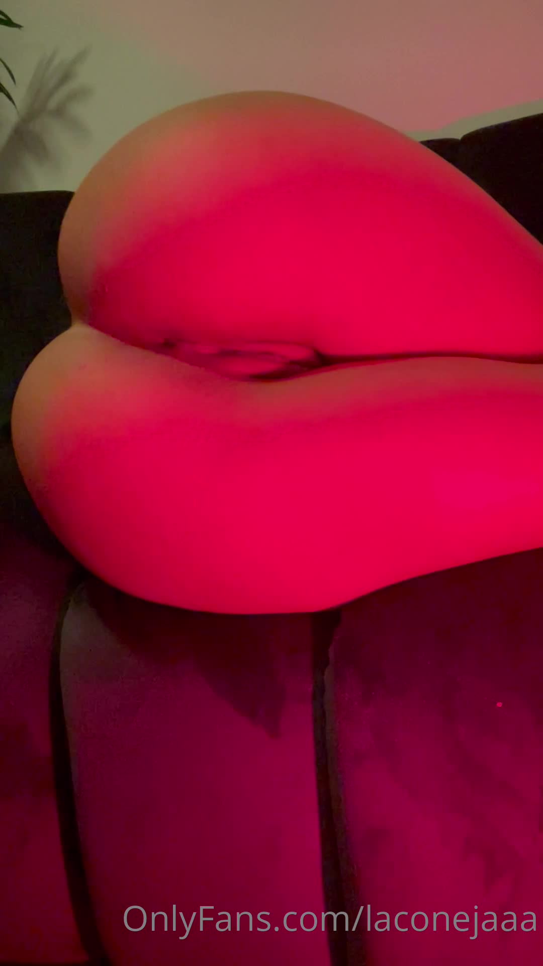 Video 1137551 from Laconejaaa yamillca