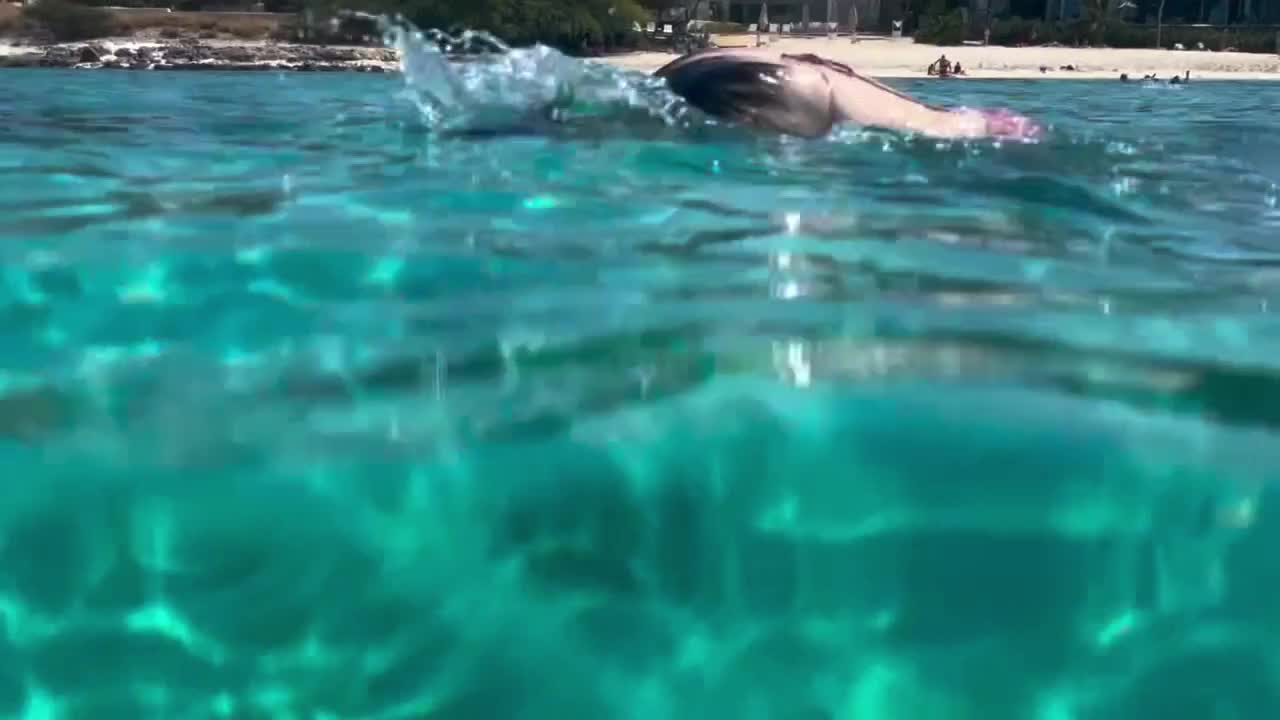Video 1137962 from Lyzzahh / lizaseri