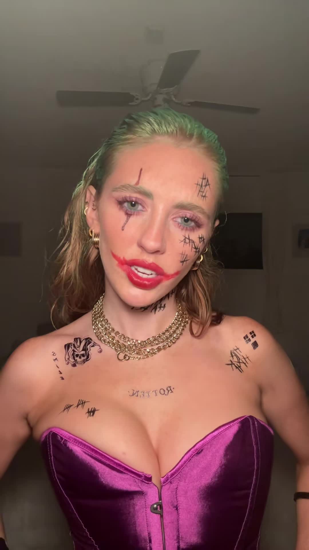 Video 1138497 from Malley Doherty / malley.doherty