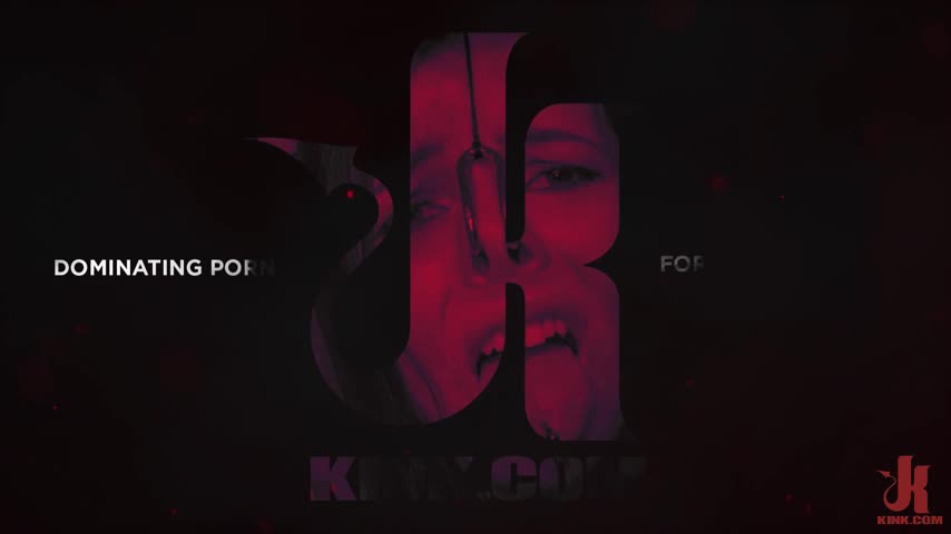 Video 1138513 from Stefani Special