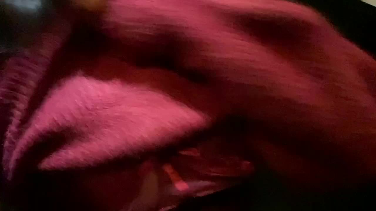 Video 1142713 from 77_sunnyyy