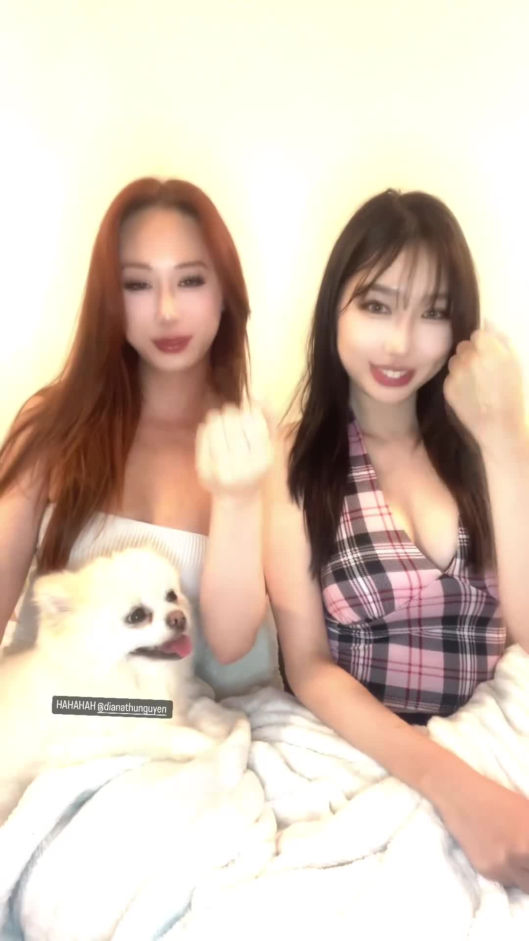 Video 1143111 from Winterfaerie / Gigi Fang