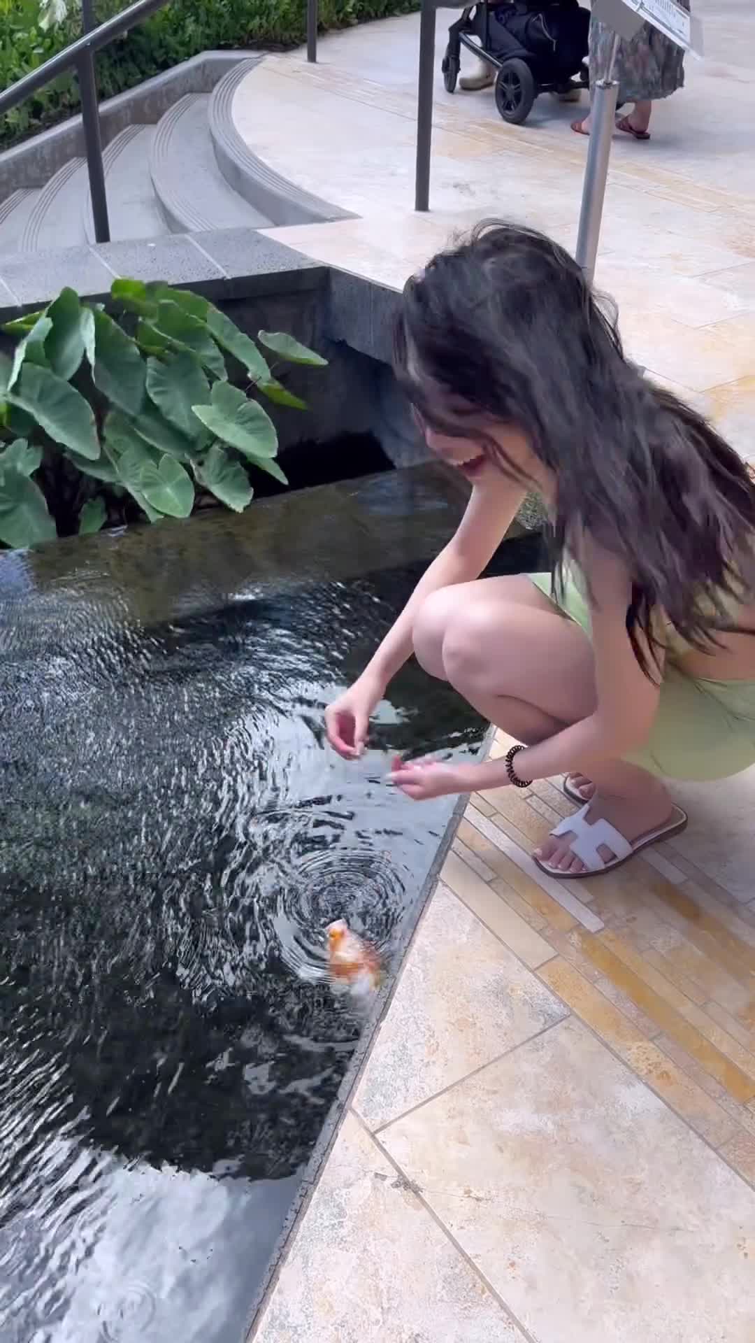 Video 1143120 from Winterfaerie / Gigi Fang