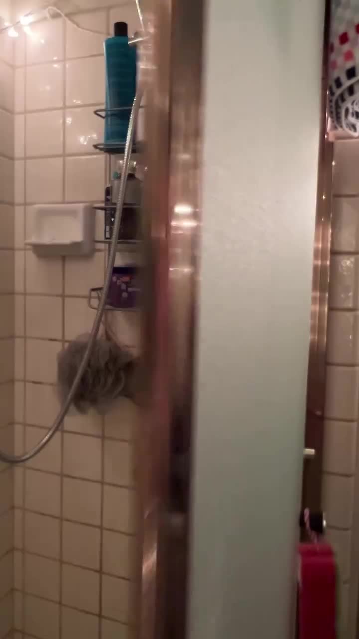 Video 1143552 from Mally_Mouse