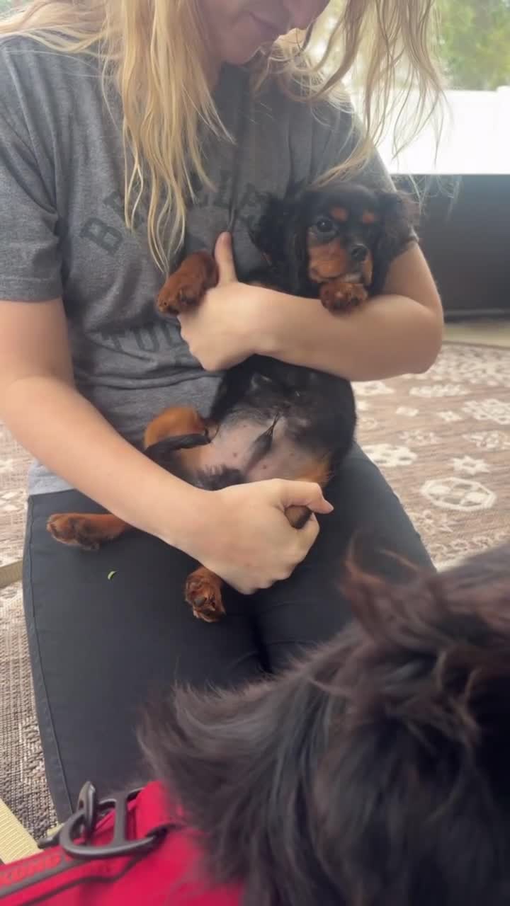 Video 1149107 from Ashton Birdie