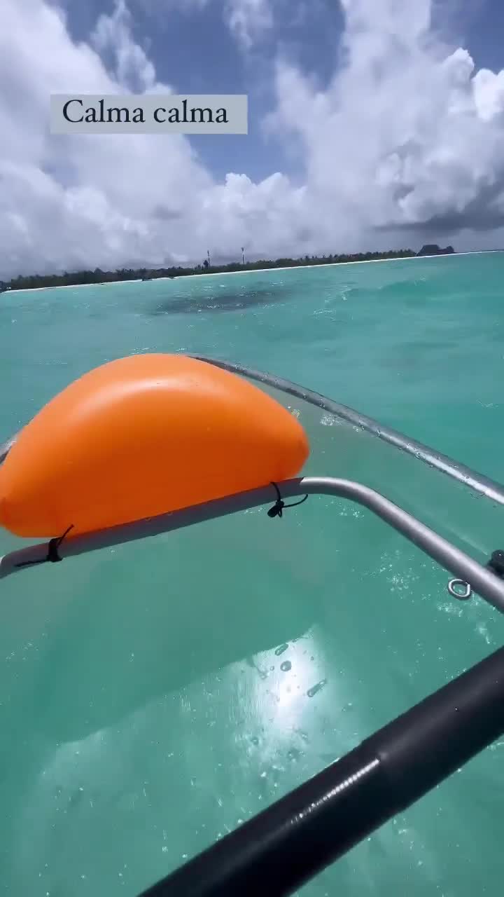 Video 1154227 from Viih Tube