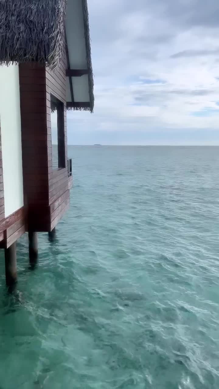 Video 1154229 from Viih Tube