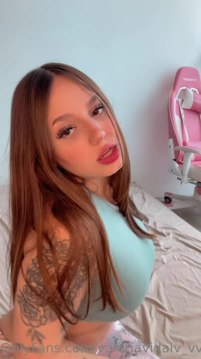 Video 1154790 from Valeria Vidal/ ValeriaViz/ Valeriaalejandravv