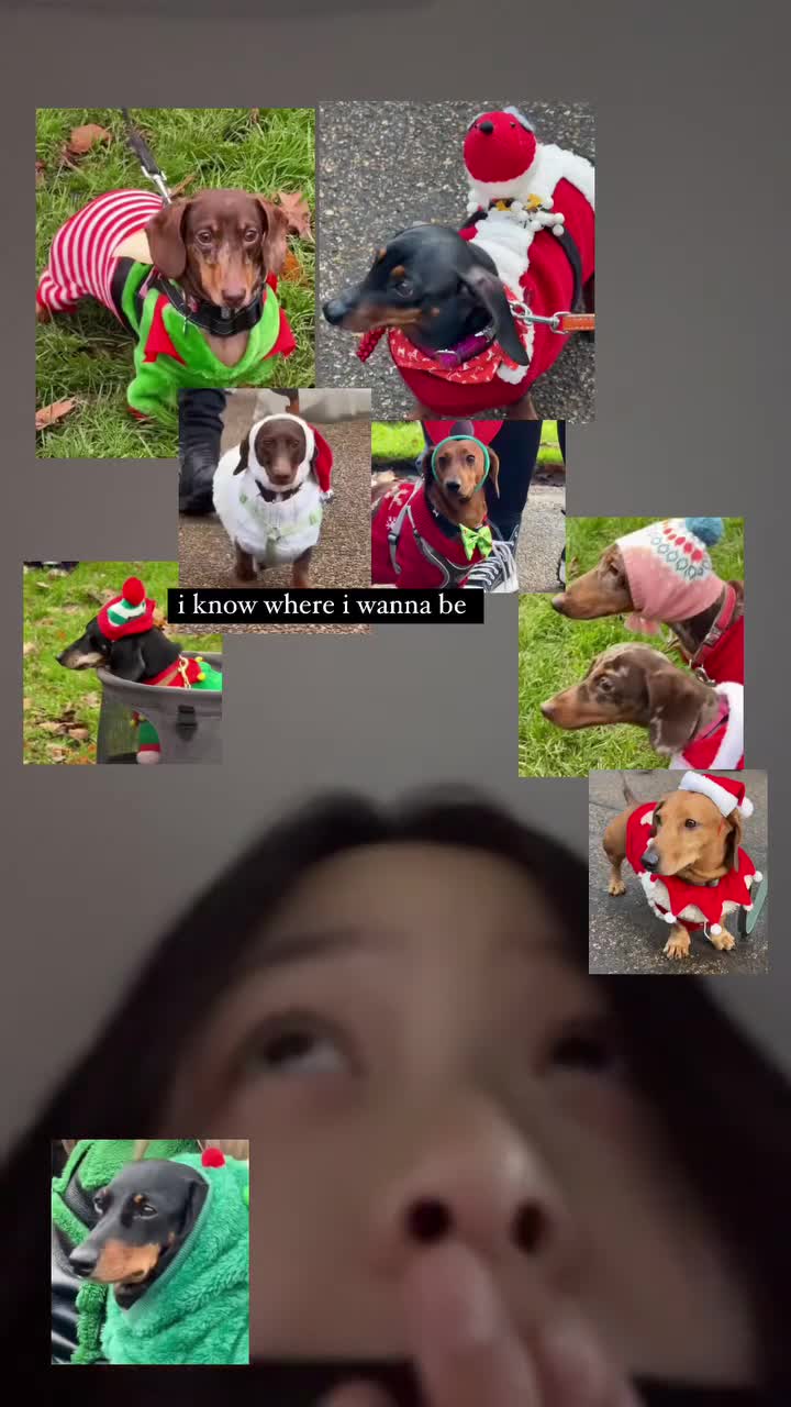 Video 1155239 from Hanni Pham / Hanni newjeans