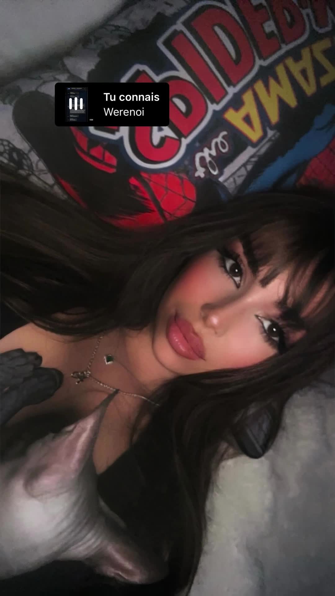 Video 1156294 from Anaxdi