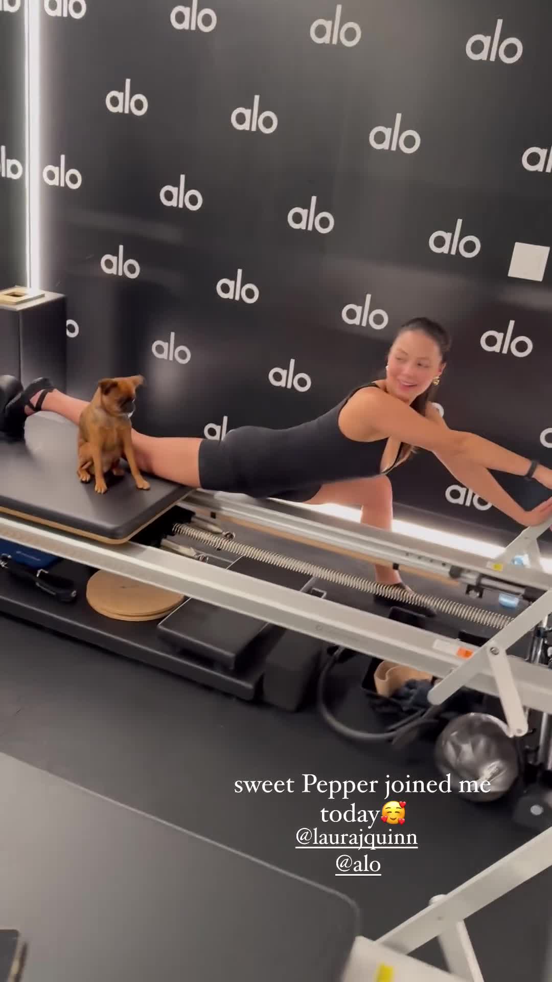 Video 1156319 from Fiona Barron