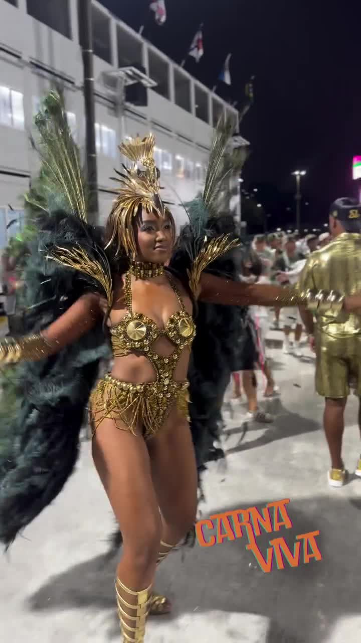 Video 1156400 from IZA