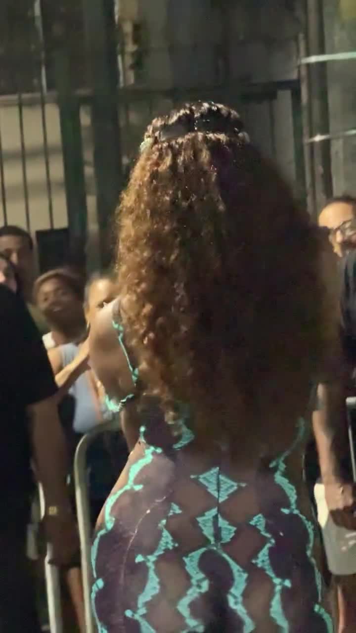 Video 1157065 from IZA