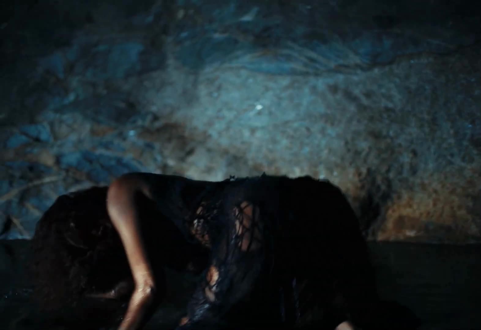 Video 1157080 from IZA