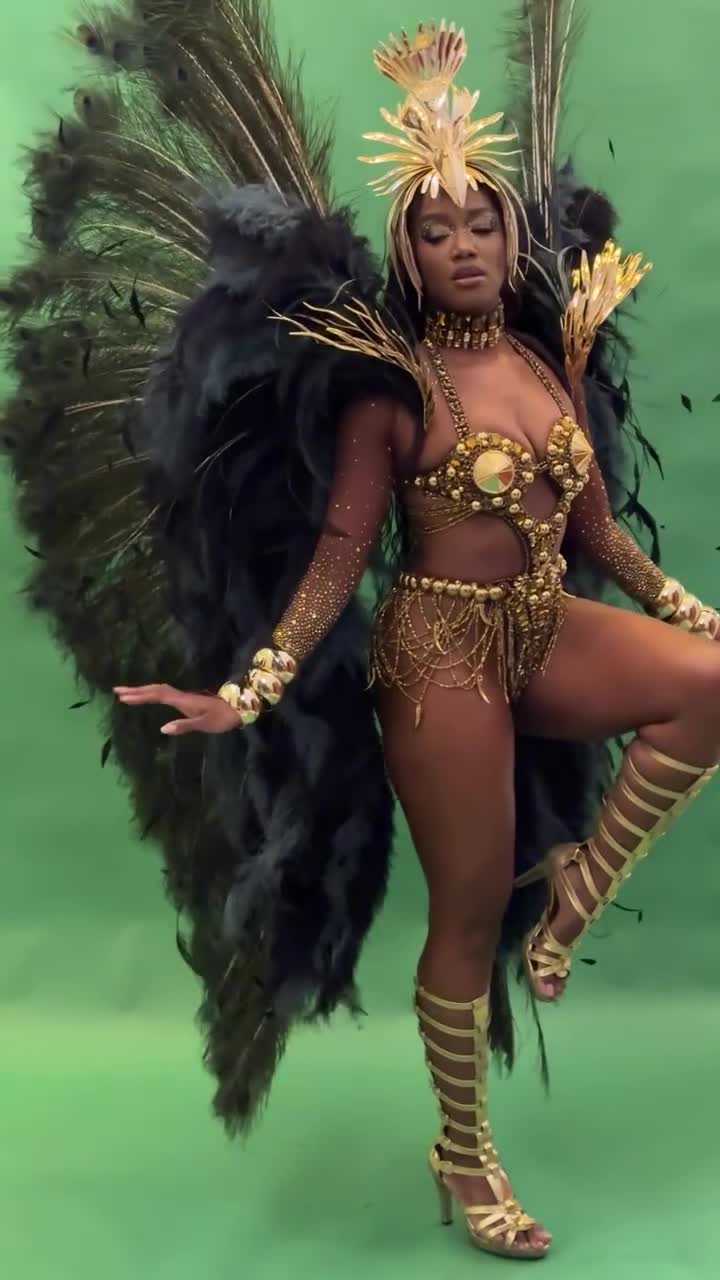 Video 1157084 from IZA