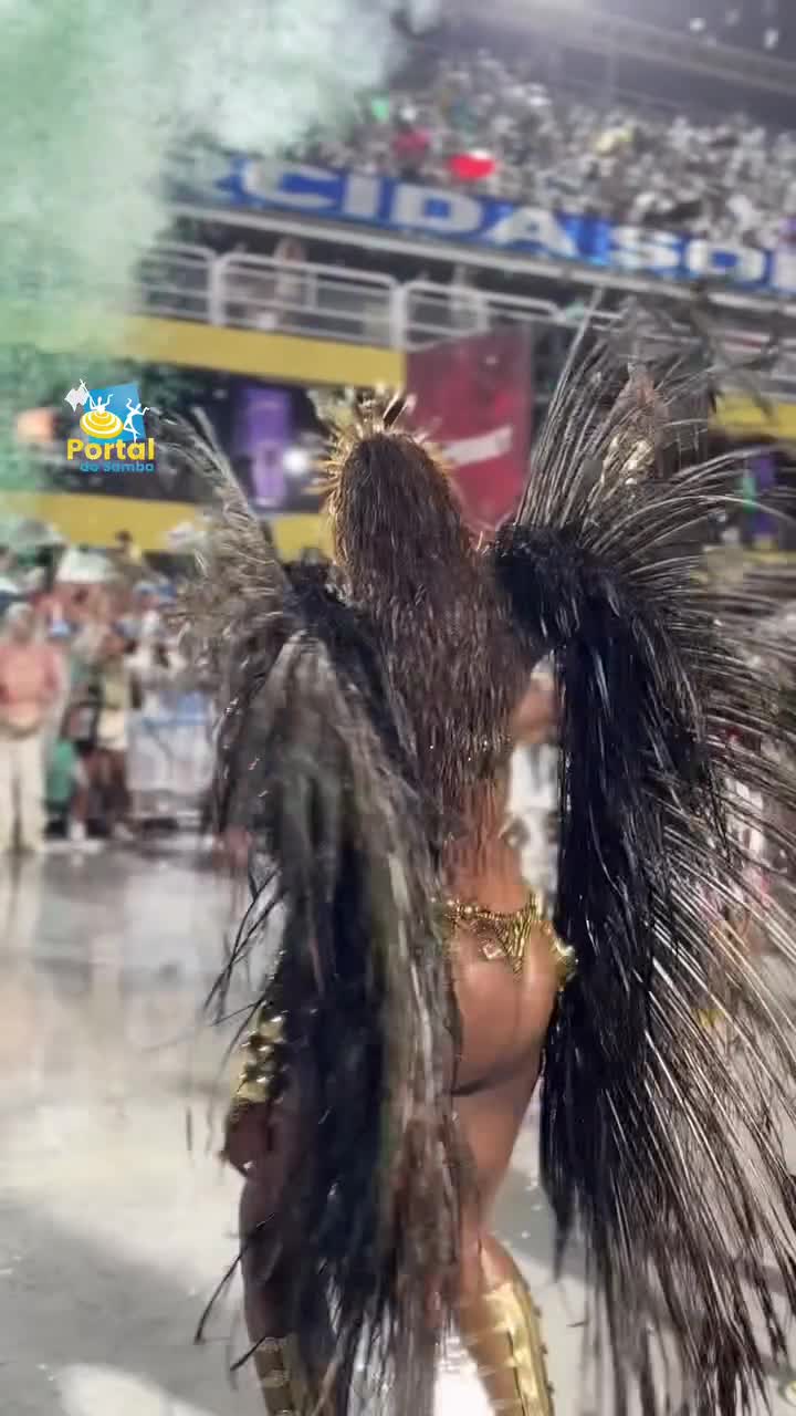 Video 1157092 from IZA