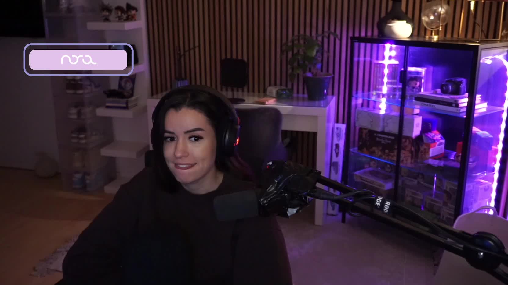 Video 1157300 from NoraExplorer