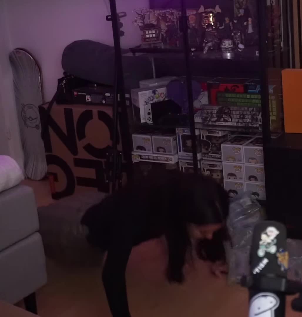 Video 1157345 from NoraExplorer