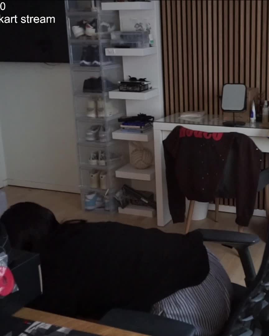 Video 1157344 from NoraExplorer