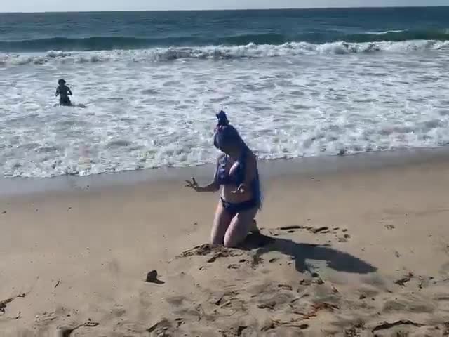 Video 1157539 from Realfrogg