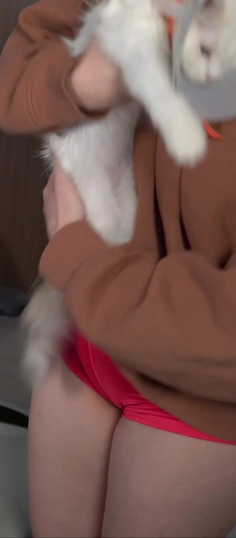 Video 1157780 from Em3rome