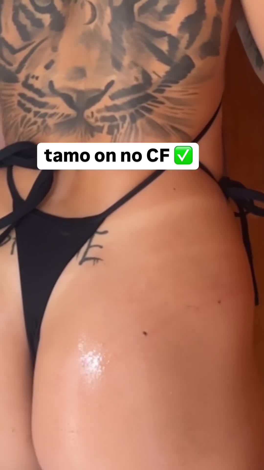 Video 1158549 from AZZY