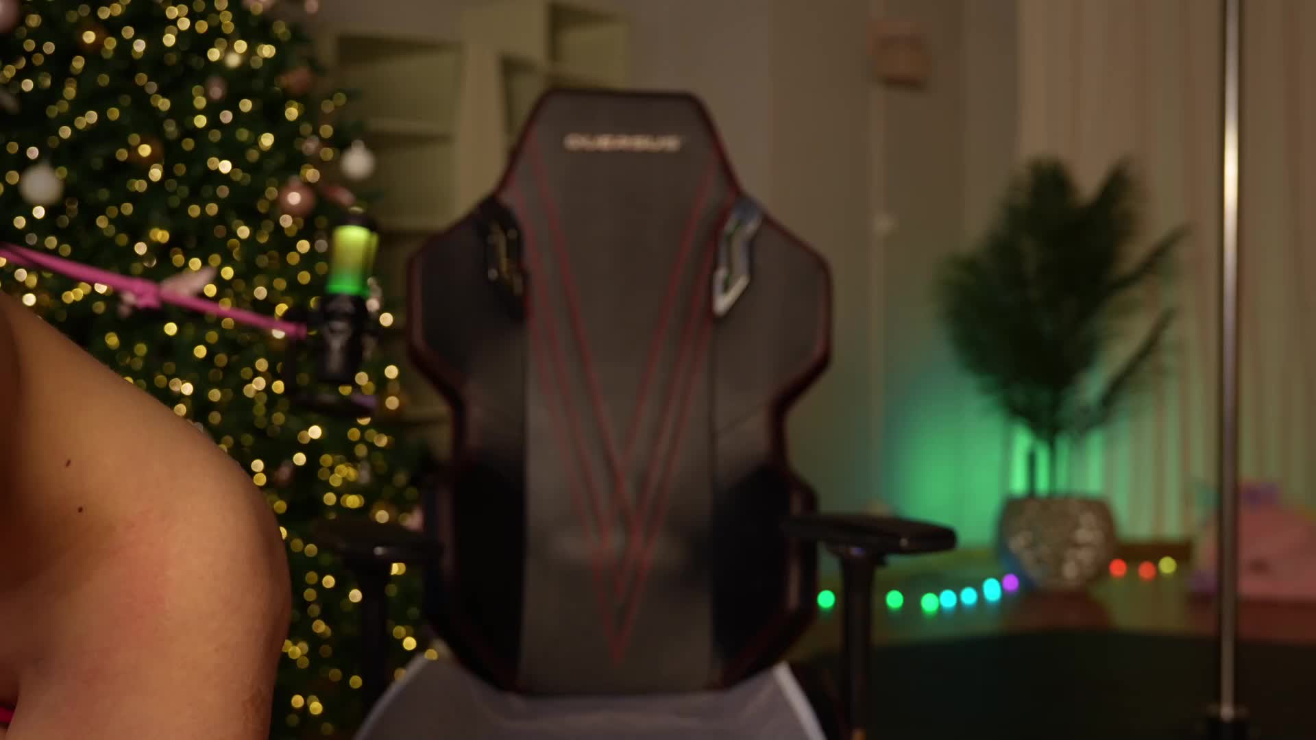 Video 1161051 from Kittycaitlin