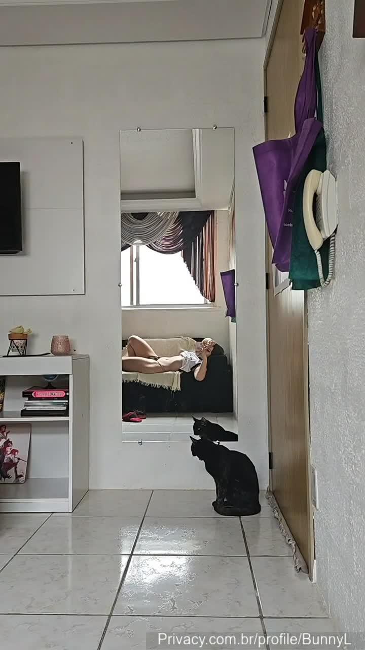 Video 1162420 from Mylena Alves / Mylealves