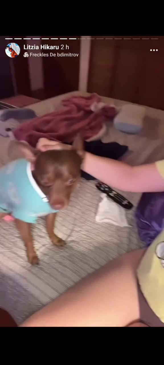 Video 1163069 from Litzia Moon