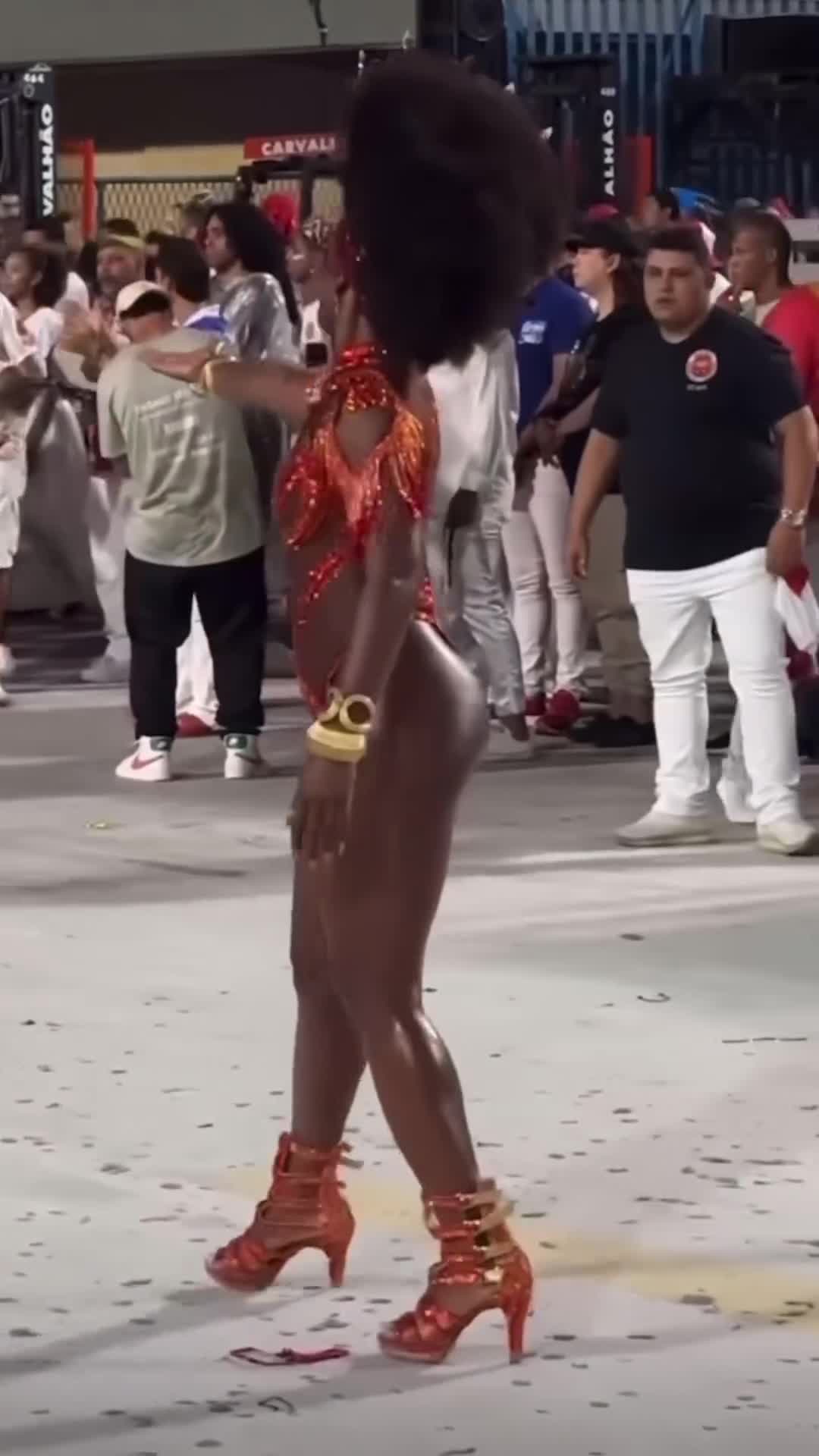 Video 1164065 from Erika Januza