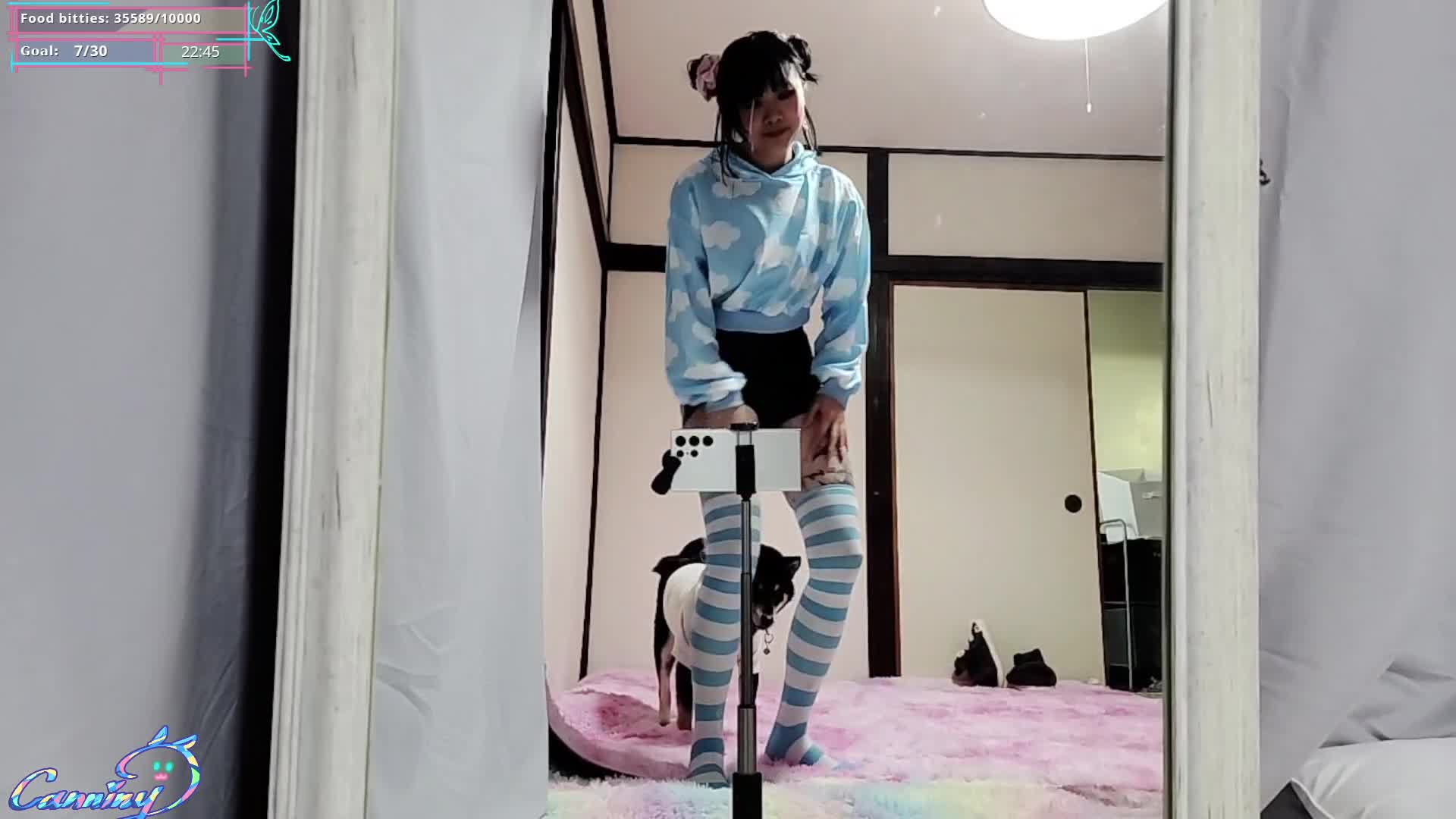 Video 1164353 from Canniny