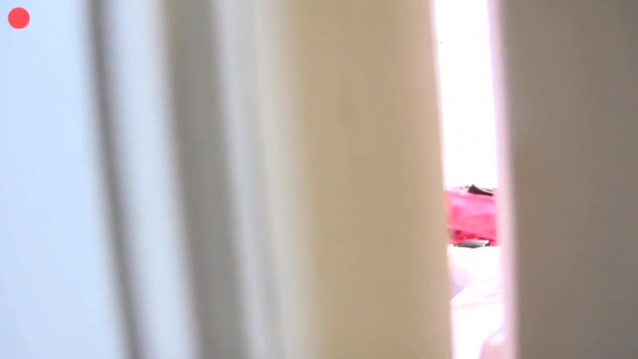 Video 1165318 from Sophia Lares