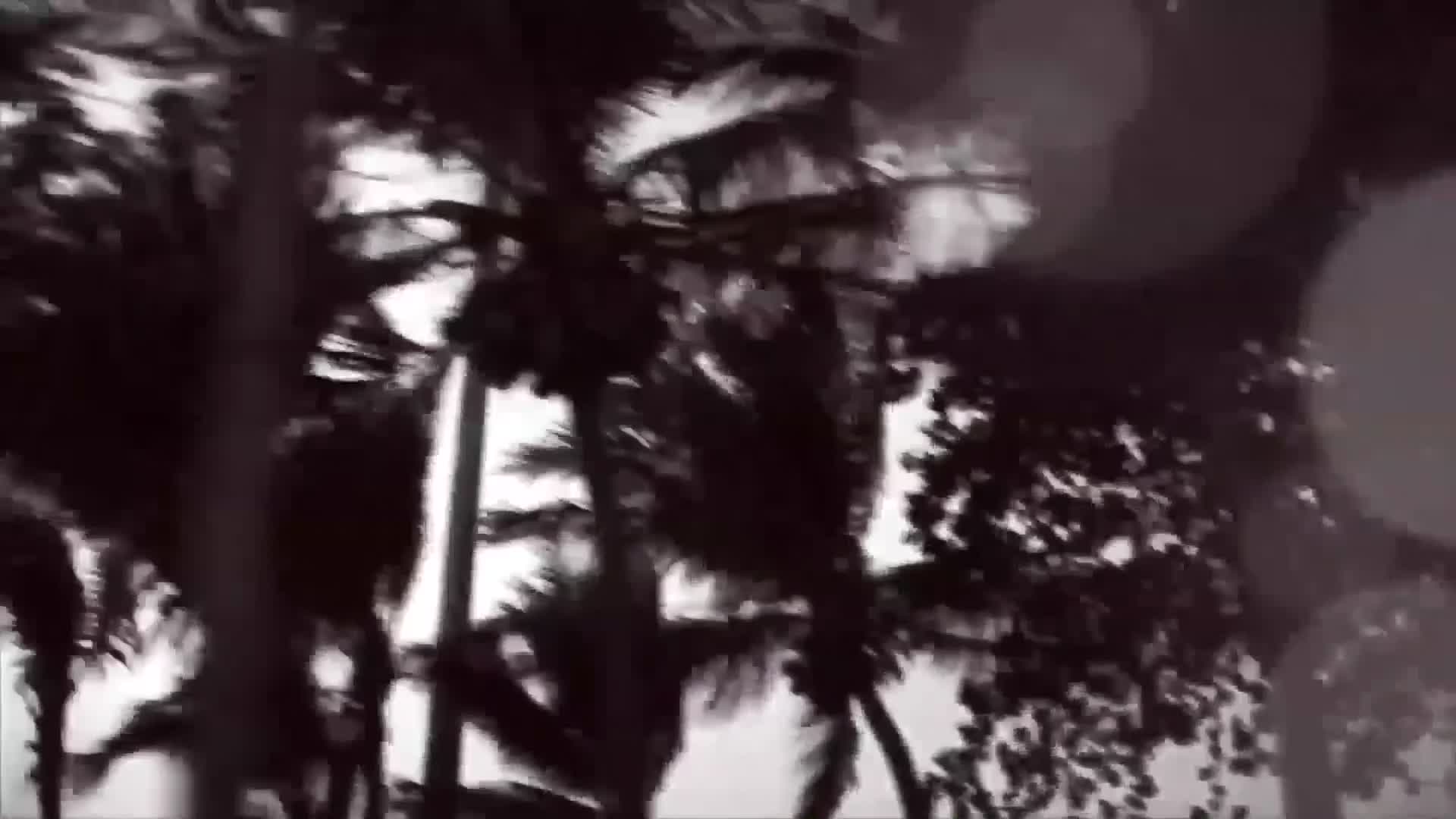 Video 1165536 from AsianSexDiary