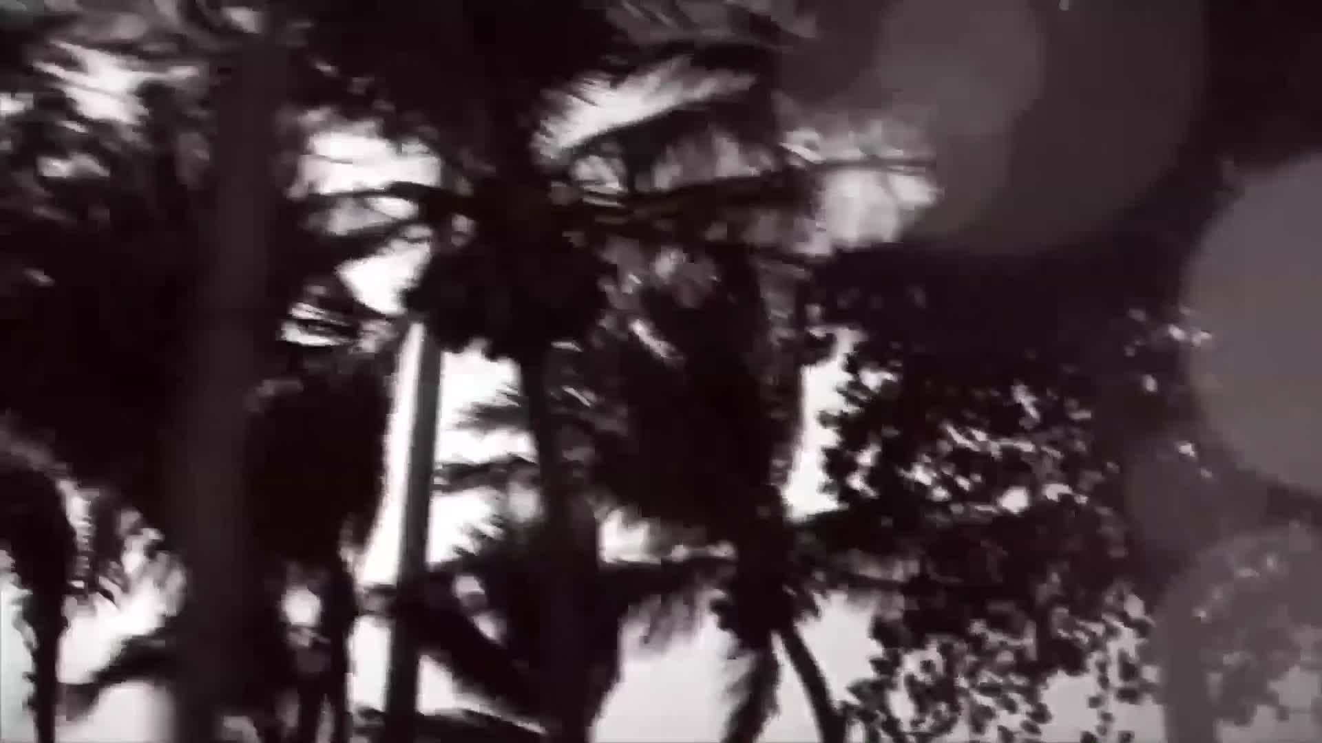 Video 1165538 from AsianSexDiary