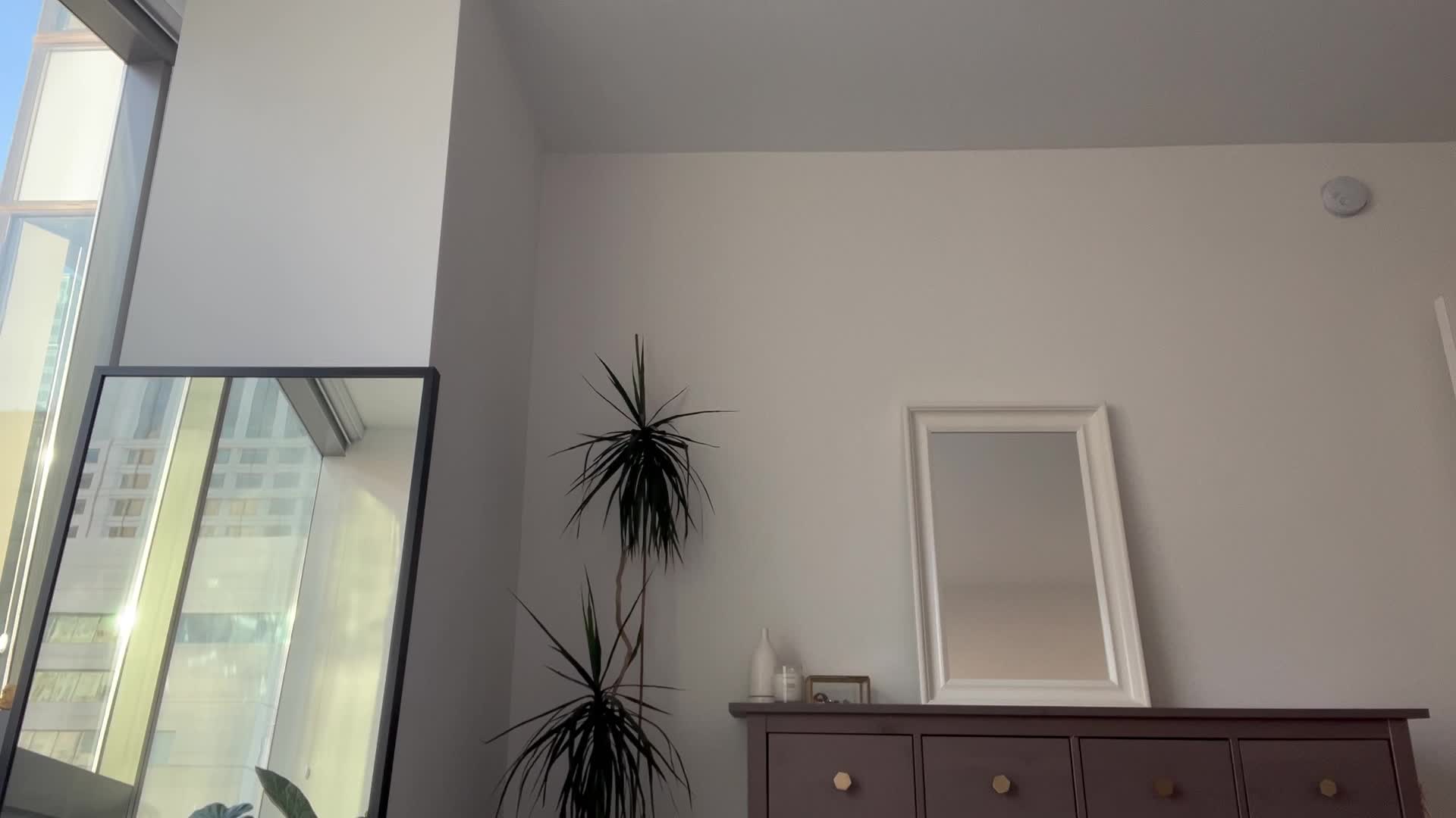 Video 1165559 from Nicolette Bloom