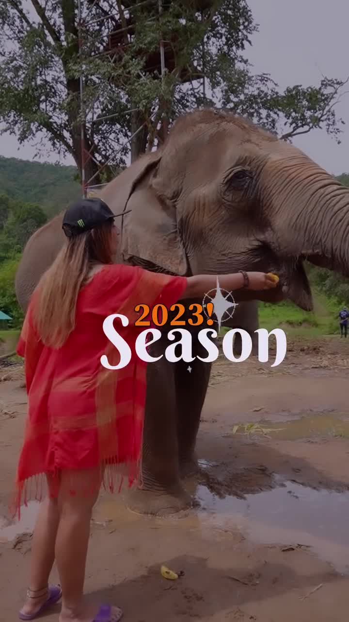 Video 1166007 from Shreyal Pandey