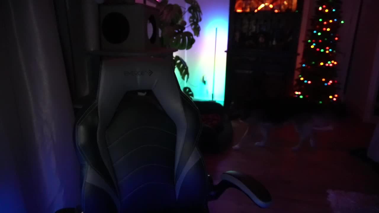 Video 1167177 from HeatherLynnoh