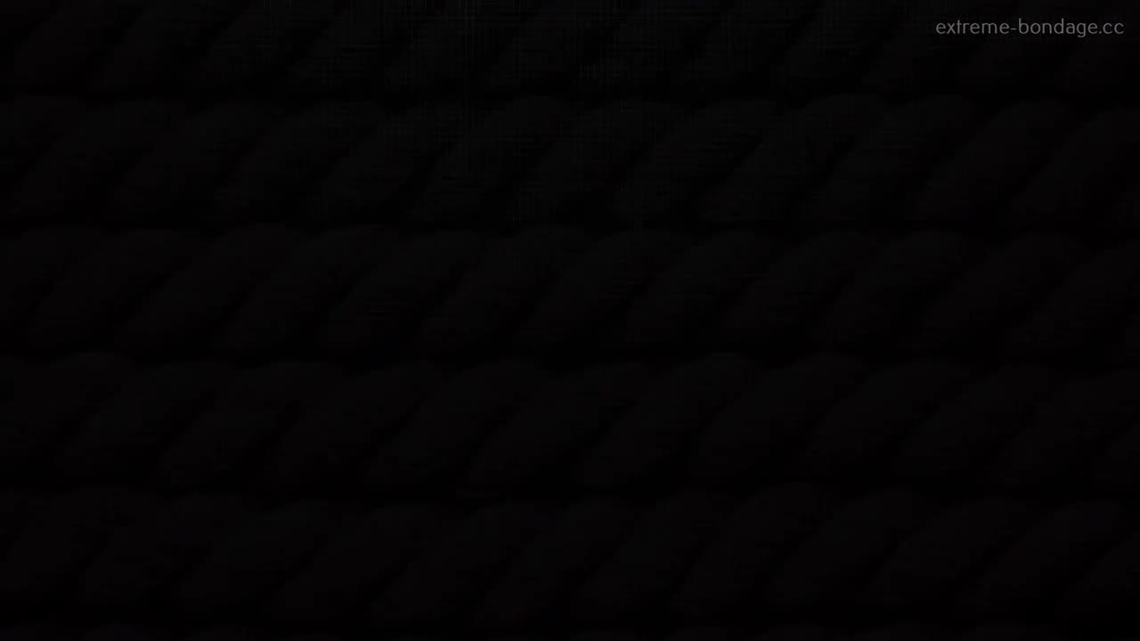 Video 1167623 from Beth Bennett