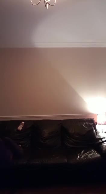 Video 1167627 from Beth Bennett