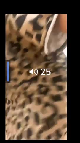 Video 1168034 from K. Michelle