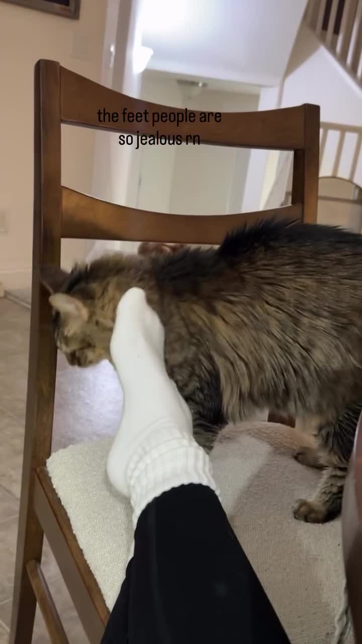 Video 1170520 from Ana Saia / anaa.saiaa / saianana