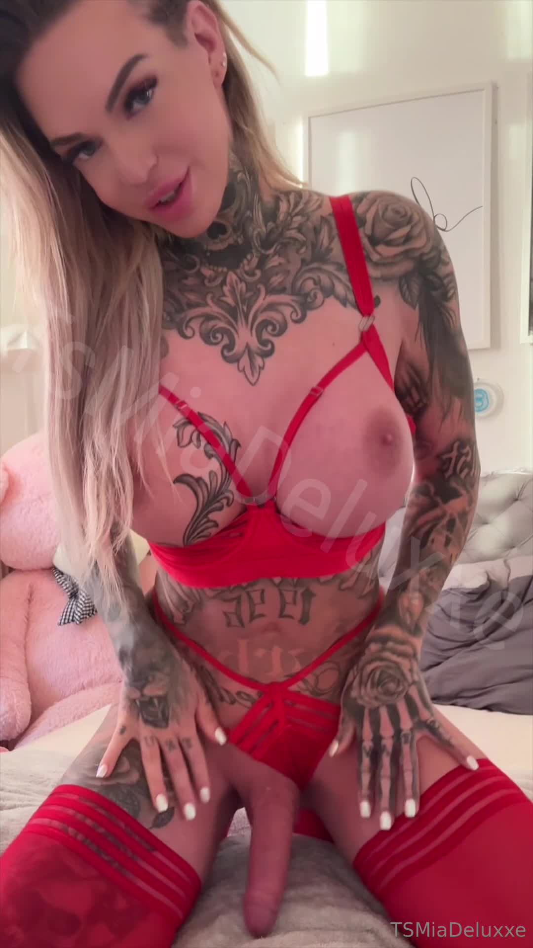 Video 1171340 from TS-MiaDeluxxe | InkBarbieTS | TS_Pia German Trans Bimbo