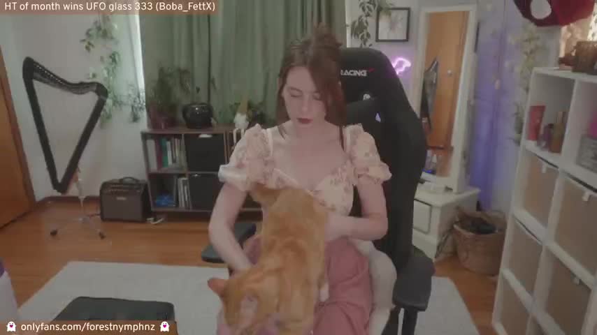 Video 1171587 from ForestNymph / Forest_Nymph